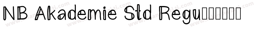 NB Akademie Std Regu字体转换